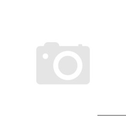 Audison AF M8.14 Bit Endstufe - Hochleistungs Audio Verstärker