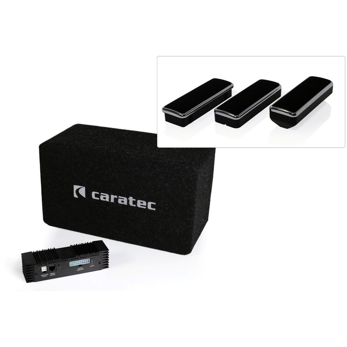 Caratec CAS204D Auto Subwoofer - Tiefbass für Ihr Fahrzeug