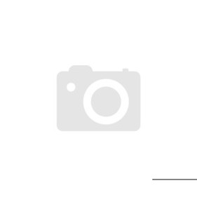 Eberspächer S3 Commercial D2L 12V Standheizung