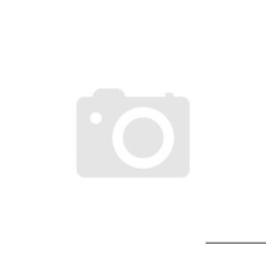 Audison Thesis TH 6.5 II Sax – Hochleistungs Auto Subwoofer